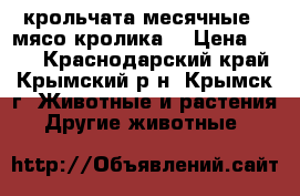 крольчата месячные.  мясо кролика. › Цена ­ 180 - Краснодарский край, Крымский р-н, Крымск г. Животные и растения » Другие животные   